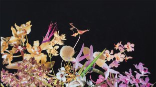 make-banner-1600x900