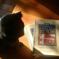 23347516_1206948189407113_6104565244053422080_n