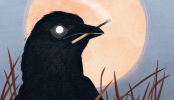 fieldsburningfaraway