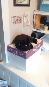 q-mizdm1q68bn1wiwnlcs_sqomdzaqf19gngwkq2x4chf46q9p0rng2zqwg_tnpj