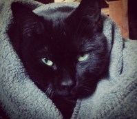 vyz3jh1_qiaewzvzobljamsi3asem92fo_zaa731efgb0w1xm6svgfufd6ht_fai